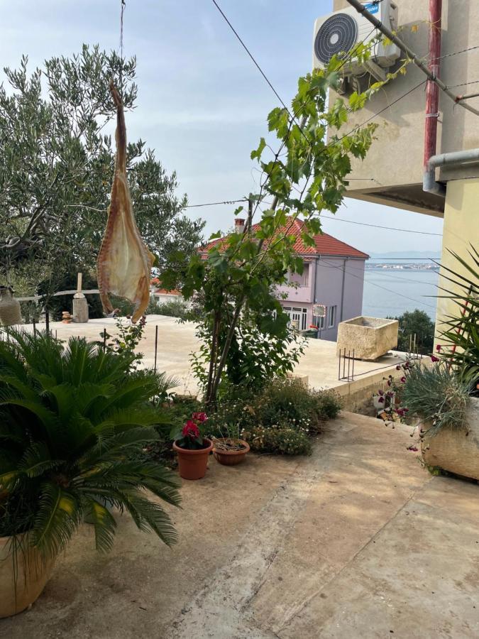 Luce Daire Kali Dış mekan fotoğraf